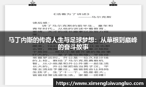 jn江南·体育登录入口
