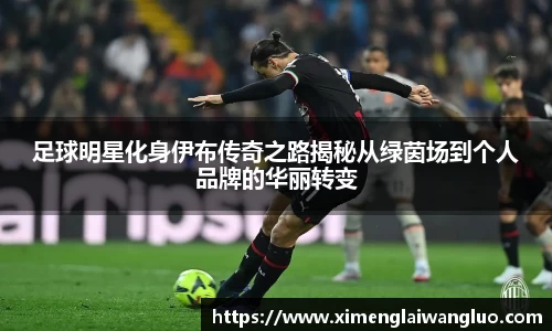 足球明星化身伊布传奇之路揭秘从绿茵场到个人品牌的华丽转变