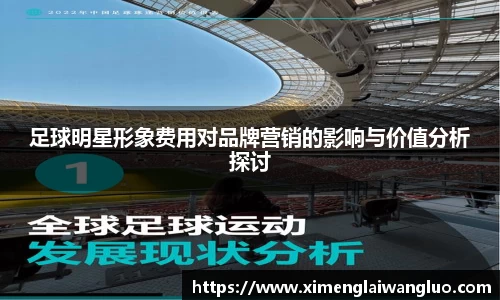 足球明星形象费用对品牌营销的影响与价值分析探讨