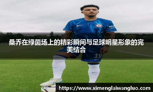 桑乔在绿茵场上的精彩瞬间与足球明星形象的完美结合