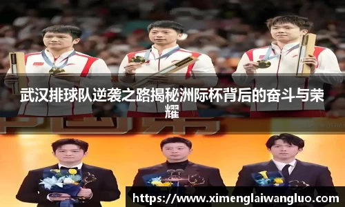 武汉排球队逆袭之路揭秘洲际杯背后的奋斗与荣耀